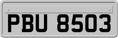 PBU8503