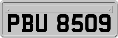 PBU8509