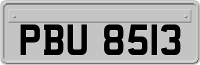 PBU8513