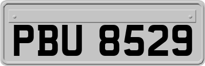 PBU8529