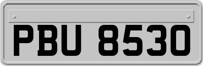 PBU8530