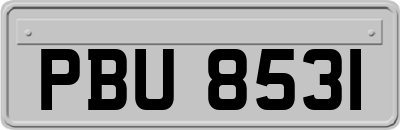 PBU8531