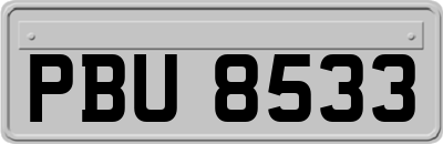 PBU8533