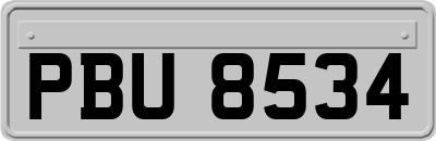 PBU8534