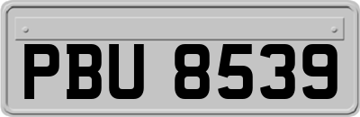 PBU8539