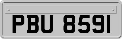 PBU8591