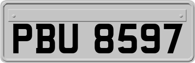 PBU8597