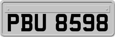 PBU8598