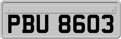 PBU8603