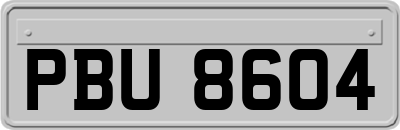 PBU8604