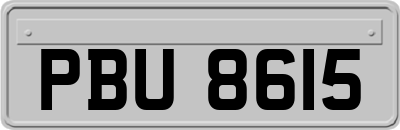 PBU8615