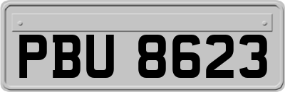 PBU8623