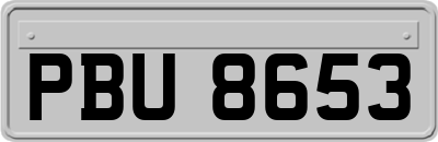 PBU8653