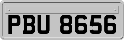 PBU8656