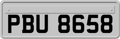 PBU8658