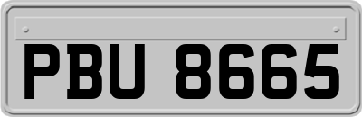 PBU8665