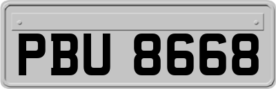 PBU8668