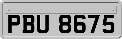 PBU8675