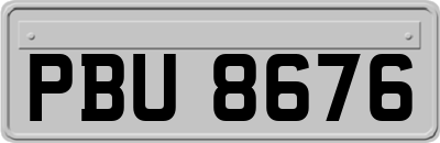 PBU8676