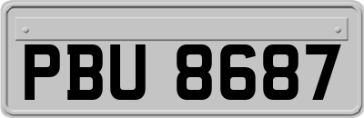 PBU8687