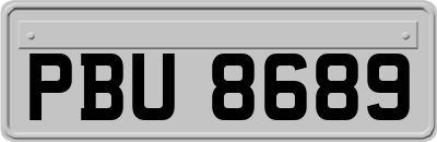 PBU8689