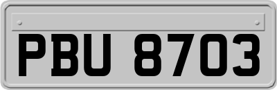 PBU8703