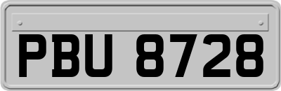 PBU8728