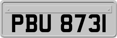 PBU8731