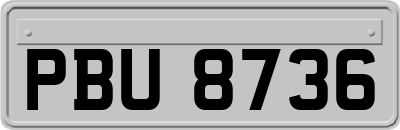 PBU8736