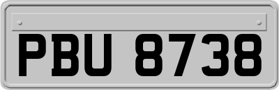 PBU8738