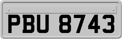 PBU8743