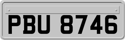 PBU8746