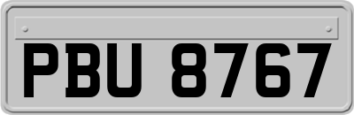 PBU8767