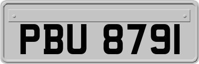 PBU8791