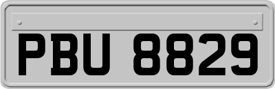 PBU8829