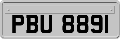 PBU8891