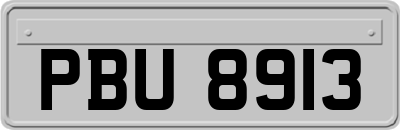 PBU8913