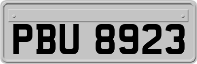 PBU8923