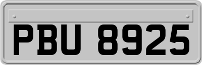 PBU8925