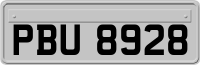 PBU8928