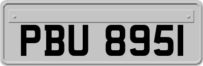 PBU8951