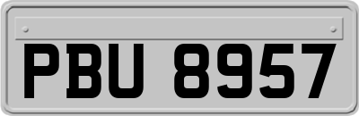 PBU8957