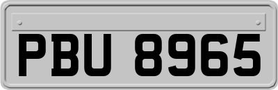 PBU8965