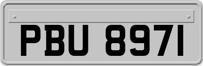 PBU8971