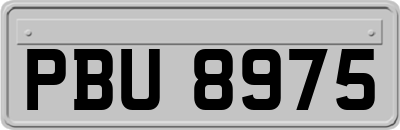 PBU8975