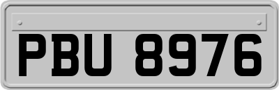 PBU8976