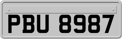 PBU8987