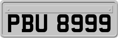 PBU8999