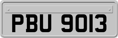 PBU9013