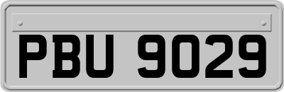 PBU9029